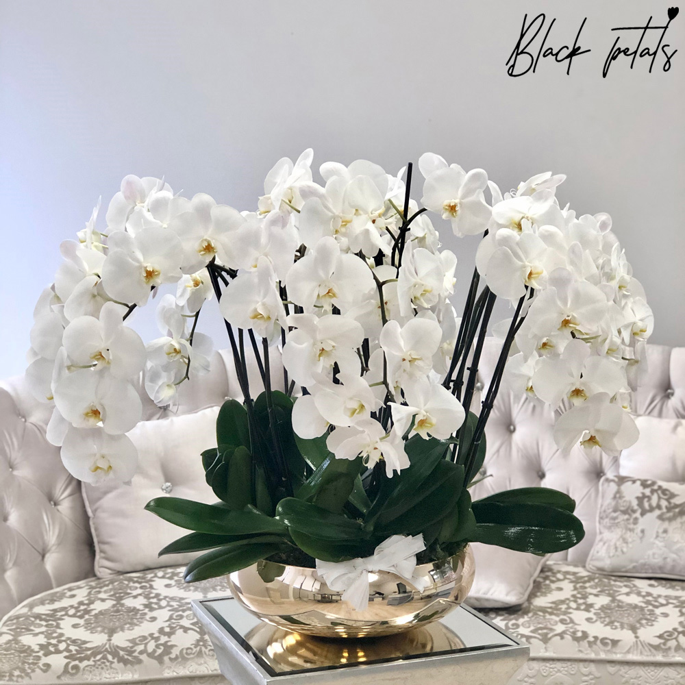flower shop dubai