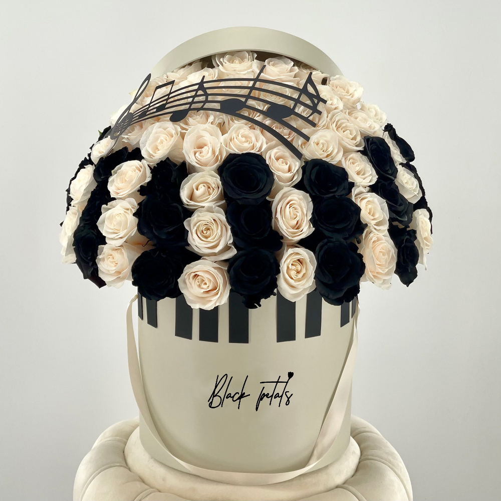 BP Piano Love